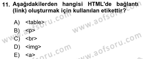 Web Yayıncılığı Araçları Dersi 2025 - 2026 Yılı (Vize) Ara Sınav Soruları 11. Soru
