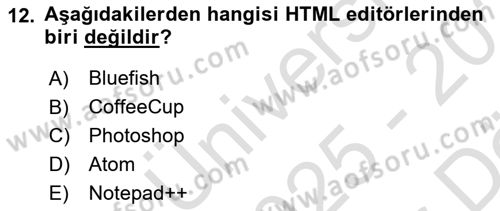 Web Yayıncılığı Araçları Dersi 2025 - 2026 Yılı (Vize) Ara Sınav Soruları 12. Soru