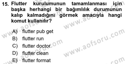 Web Yayıncılığı Araçları Dersi 2025 - 2026 Yılı (Final) Dönem Sonu Sınav Soruları 15. Soru