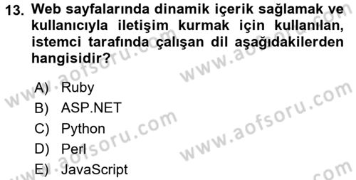 Web Okuryazarlığı Dersi 2017 - 2018 Yılı (Vize) Ara Sınav Soruları 13. Soru