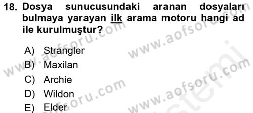 Web Okuryazarlığı Dersi Ara Sınavı Deneme Sınav Soruları 18. Soru