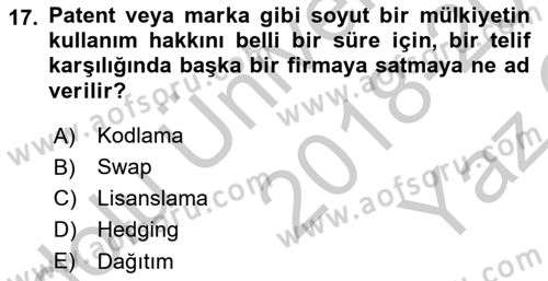 Web Okuryazarlığı Dersi 2018 - 2019 Yılı Yaz Okulu Sınav Soruları 17. Soru