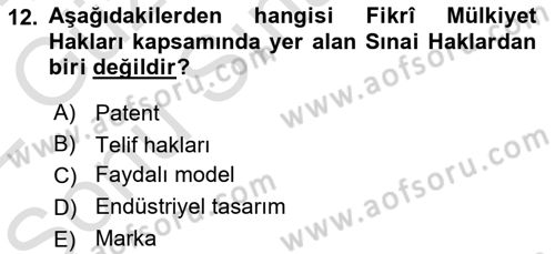 Web Okuryazarlığı Dersi 2021 - 2022 Yılı (Final) Dönem Sonu Sınav Soruları 12. Soru
