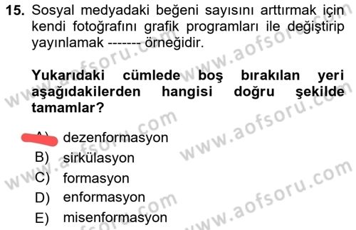 Web Okuryazarlığı Dersi 2023 - 2024 Yılı Yaz Okulu Sınav Soruları 15. Soru