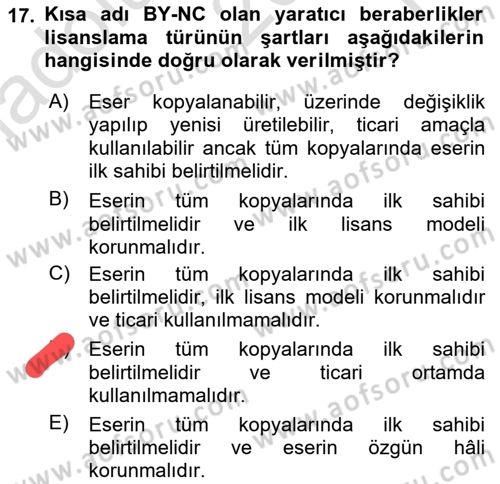 Web Okuryazarlığı Dersi 2023 - 2024 Yılı Yaz Okulu Sınav Soruları 17. Soru