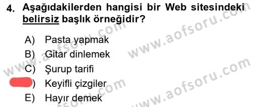 Web Okuryazarlığı Dersi 2023 - 2024 Yılı Yaz Okulu Sınav Soruları 4. Soru