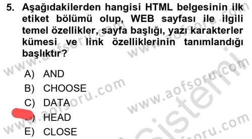Web Okuryazarlığı Dersi 2023 - 2024 Yılı Yaz Okulu Sınav Soruları 5. Soru