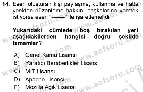 Web Okuryazarlığı Dersi 2024 - 2025 Yılı Yaz Okulu Sınav Soruları 14. Soru