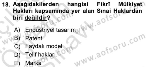 Web Okuryazarlığı Dersi 2024 - 2025 Yılı Yaz Okulu Sınav Soruları 18. Soru