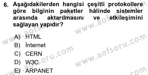 Web Okuryazarlığı Dersi 2024 - 2025 Yılı Yaz Okulu Sınav Soruları 6. Soru