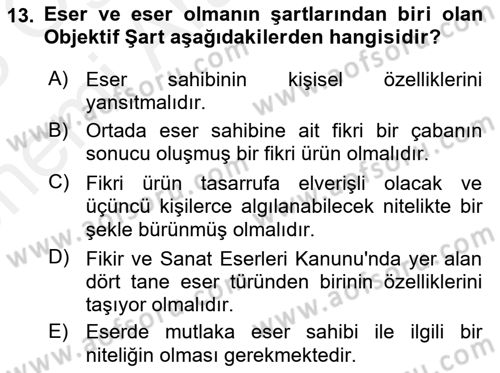 Web’de Telif Hakları ve Etik Dersi 2017 - 2018 Yılı (Vize) Ara Sınav Soruları 13. Soru