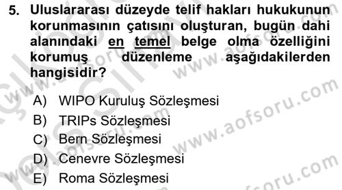 Web’de Telif Hakları ve Etik Dersi 2018 - 2019 Yılı 3 Ders Sınav Soruları 5. Soru