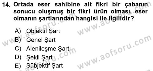 Web’de Telif Hakları ve Etik Dersi 2018 - 2019 Yılı (Vize) Ara Sınav Soruları 14. Soru