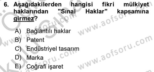 Web’de Telif Hakları ve Etik Dersi 2018 - 2019 Yılı Yaz Okulu Sınav Soruları 6. Soru