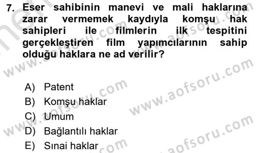 Web’de Telif Hakları ve Etik Dersi 2021 - 2022 Yılı (Vize) Ara Sınav Soruları 7. Soru