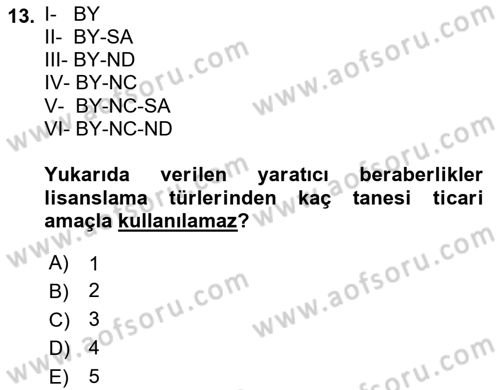 Web’de Telif Hakları ve Etik Dersi 2021 - 2022 Yılı Yaz Okulu Sınav Soruları 13. Soru