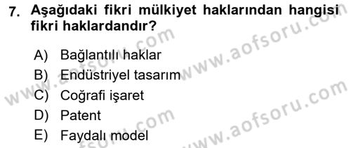 Web’de Telif Hakları ve Etik Dersi 2023 - 2024 Yılı (Vize) Ara Sınav Soruları 7. Soru