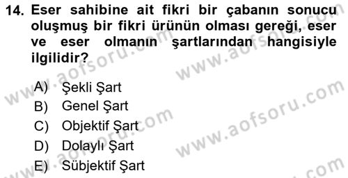 Web’de Telif Hakları ve Etik Dersi 2024 - 2025 Yılı (Vize) Ara Sınav Soruları 14. Soru