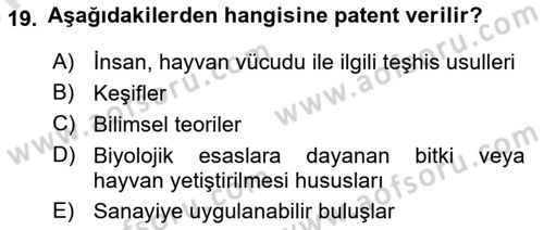 Web’de Telif Hakları ve Etik Dersi 2024 - 2025 Yılı (Vize) Ara Sınav Soruları 19. Soru