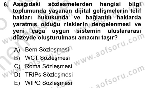 Web’de Telif Hakları ve Etik Dersi 2024 - 2025 Yılı (Vize) Ara Sınav Soruları 6. Soru