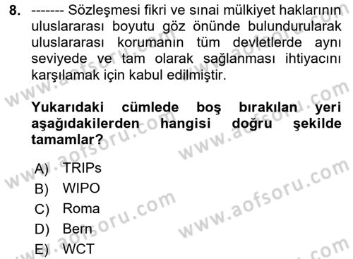 Web’de Telif Hakları ve Etik Dersi 2024 - 2025 Yılı (Vize) Ara Sınav Soruları 8. Soru