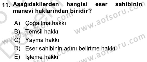 Web’de Telif Hakları ve Etik Dersi 2024 - 2025 Yılı (Final) Dönem Sonu Sınav Soruları 11. Soru