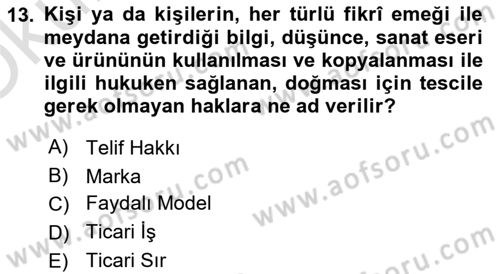 Web’de Telif Hakları ve Etik Dersi 2024 - 2025 Yılı Yaz Okulu Sınav Soruları 13. Soru