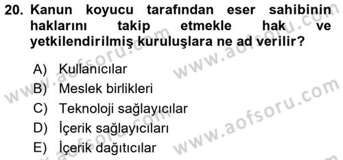 Web’de Telif Hakları ve Etik Dersi 2024 - 2025 Yılı Yaz Okulu Sınav Soruları 20. Soru