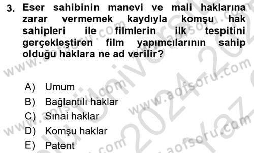 Web’de Telif Hakları ve Etik Dersi 2024 - 2025 Yılı Yaz Okulu Sınav Soruları 3. Soru