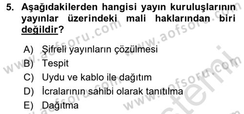 Web’de Telif Hakları ve Etik Dersi 2024 - 2025 Yılı Yaz Okulu Sınav Soruları 5. Soru