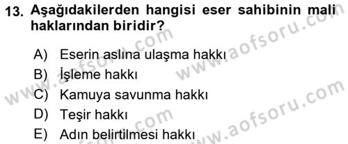 Web’de Telif Hakları ve Etik Dersi 2025 - 2026 Yılı (Vize) Ara Sınav Soruları 13. Soru