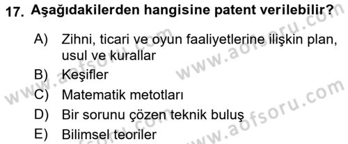 Web’de Telif Hakları ve Etik Dersi 2025 - 2026 Yılı (Vize) Ara Sınav Soruları 17. Soru