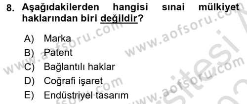 Web’de Telif Hakları ve Etik Dersi 2025 - 2026 Yılı (Vize) Ara Sınav Soruları 8. Soru