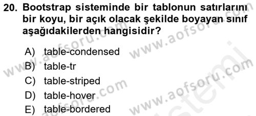 Web Tabanlı Kodlama Dersi 2017 - 2018 Yılı 3 Ders Sınav Soruları 20. Soru