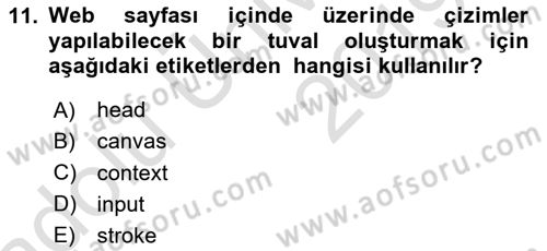 Web Tabanlı Kodlama Dersi 2018 - 2019 Yılı 3 Ders Sınav Soruları 11. Soru