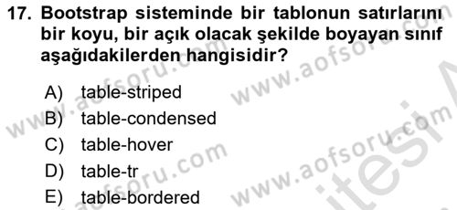 Web Tabanlı Kodlama Dersi 2018 - 2019 Yılı 3 Ders Sınav Soruları 17. Soru