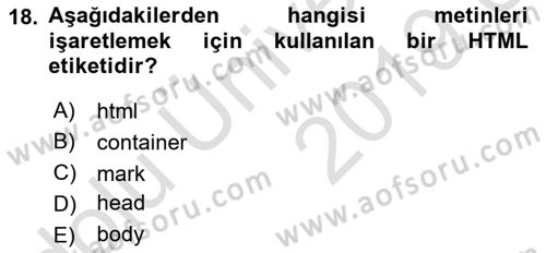 Web Tabanlı Kodlama Dersi 2018 - 2019 Yılı 3 Ders Sınav Soruları 18. Soru