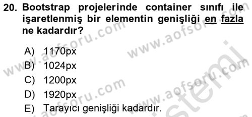 Web Tabanlı Kodlama Dersi 2018 - 2019 Yılı 3 Ders Sınav Soruları 20. Soru