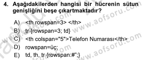 Web Tabanlı Kodlama Dersi 2018 - 2019 Yılı 3 Ders Sınav Soruları 4. Soru