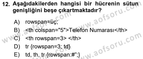 Web Tabanlı Kodlama Dersi 2018 - 2019 Yılı (Vize) Ara Sınav Soruları 12. Soru