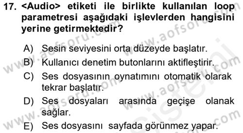 Web Tabanlı Kodlama Dersi 2018 - 2019 Yılı (Vize) Ara Sınav Soruları 17. Soru