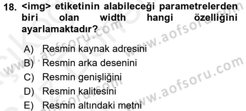 Web Tabanlı Kodlama Dersi 2018 - 2019 Yılı (Vize) Ara Sınav Soruları 18. Soru