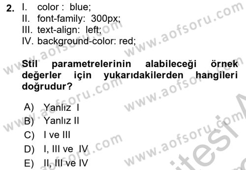 Web Tabanlı Kodlama Dersi 2018 - 2019 Yılı Yaz Okulu Sınav Soruları 2. Soru