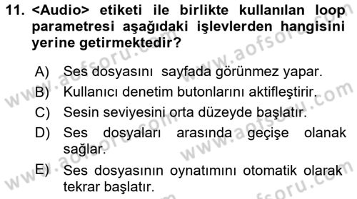 Web Tabanlı Kodlama Dersi 2019 - 2020 Yılı (Vize) Ara Sınav Soruları 11. Soru