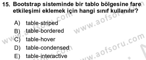 Web Tabanlı Kodlama Dersi 2019 - 2020 Yılı (Final) Dönem Sonu Sınav Soruları 15. Soru
