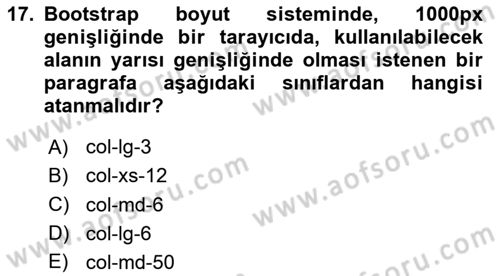 Web Tabanlı Kodlama Dersi 2019 - 2020 Yılı Yaz Okulu Sınav Soruları 17. Soru
