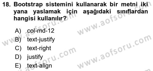 Web Tabanlı Kodlama Dersi 2019 - 2020 Yılı Yaz Okulu Sınav Soruları 18. Soru
