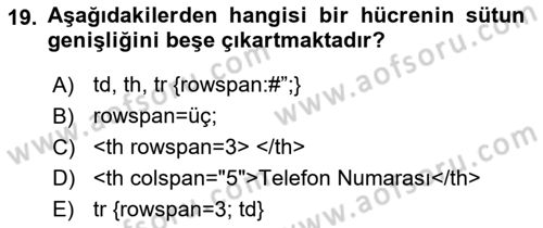 Web Tabanlı Kodlama Dersi 2021 - 2022 Yılı (Vize) Ara Sınav Soruları 19. Soru