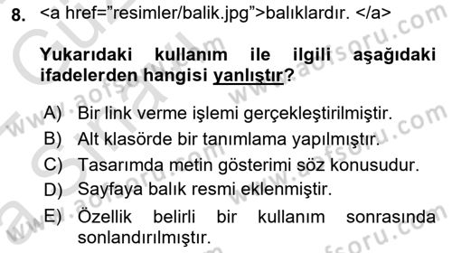 Web Tabanlı Kodlama Dersi 2021 - 2022 Yılı (Vize) Ara Sınav Soruları 8. Soru