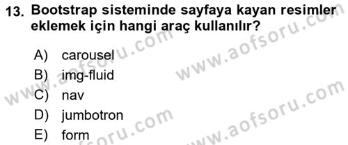 Web Tabanlı Kodlama Dersi 2021 - 2022 Yılı (Final) Dönem Sonu Sınav Soruları 13. Soru